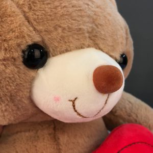 عروسک خرس قلب به دست