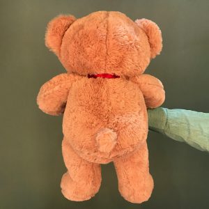 عروسک خرس پاپیون For You